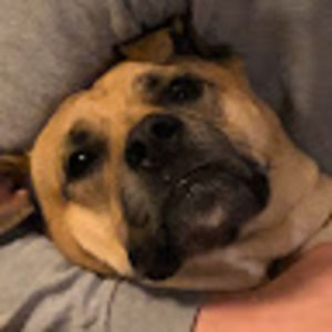 Meet your Posher, Jack